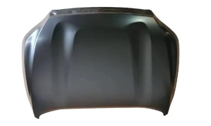 NAVARA'21 HOOD
